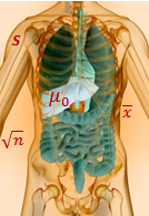 anatomy ttest