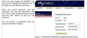 ummc epic login